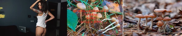 винт Няндома