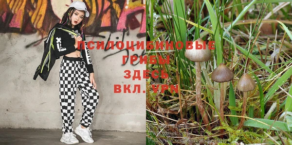 винт Няндома