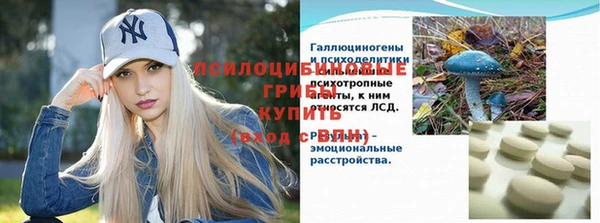 винт Няндома