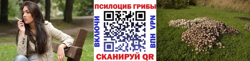 Галлюциногенные грибы GOLDEN TEACHER  Ржев 
