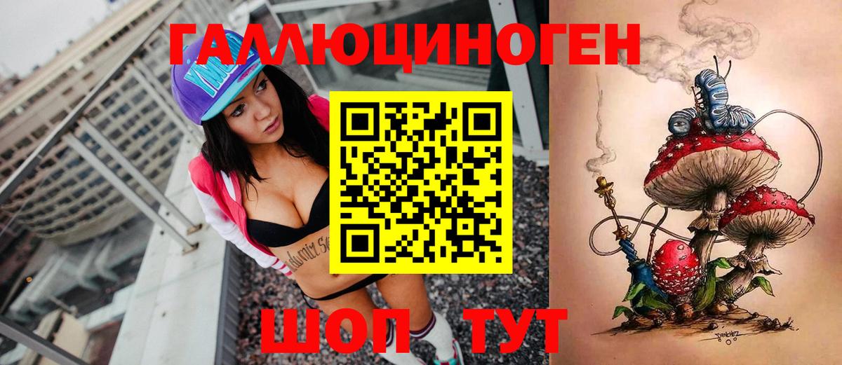 Псилоцибиновые грибы Cubensis Ржев